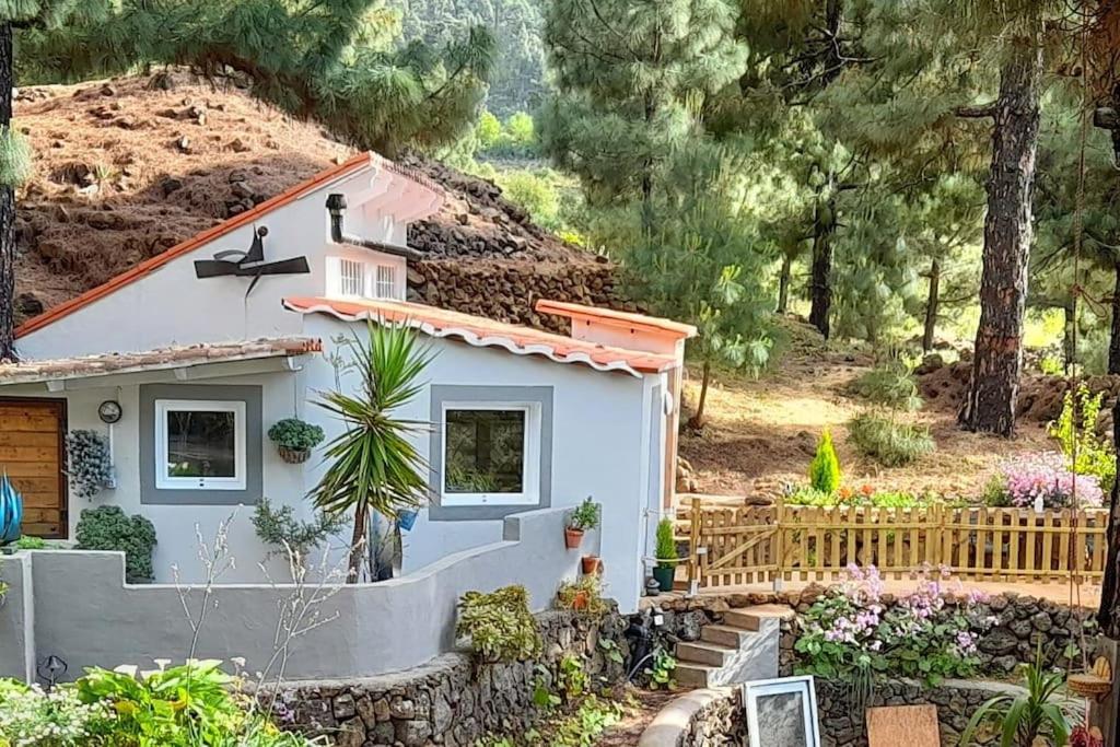 Casa Aguar: Acogedora Casa De Invitados En El Bosque Barrial Exterior foto